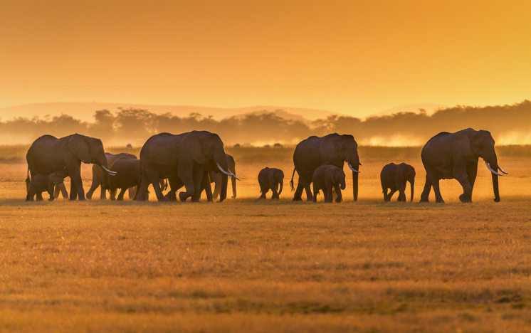 Kenia Viaje a medida