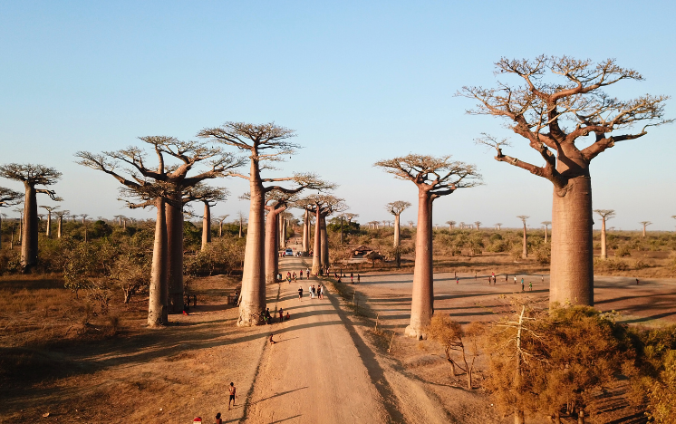 Madagascar