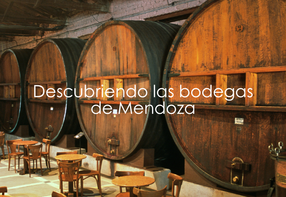 Descubriendo las Bodegas de Mendoza