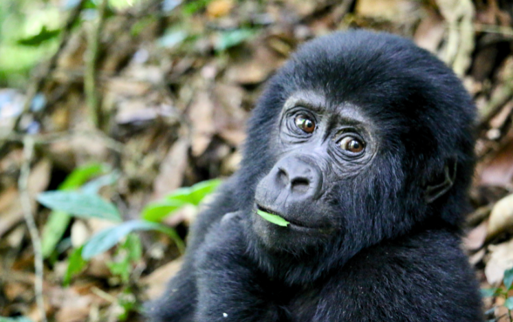 Uganda
