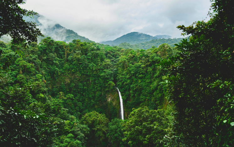 Parte de las Cataratas del Iguazú vistas desde el Parque Nacional Argentino