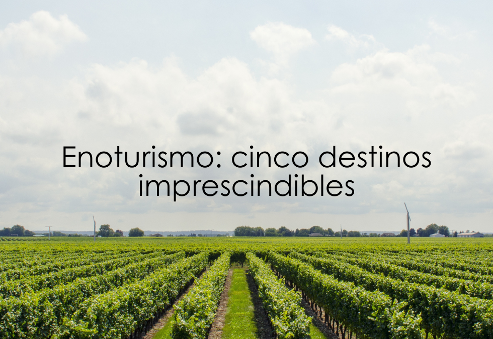 Destinos para amantes del enoturismo