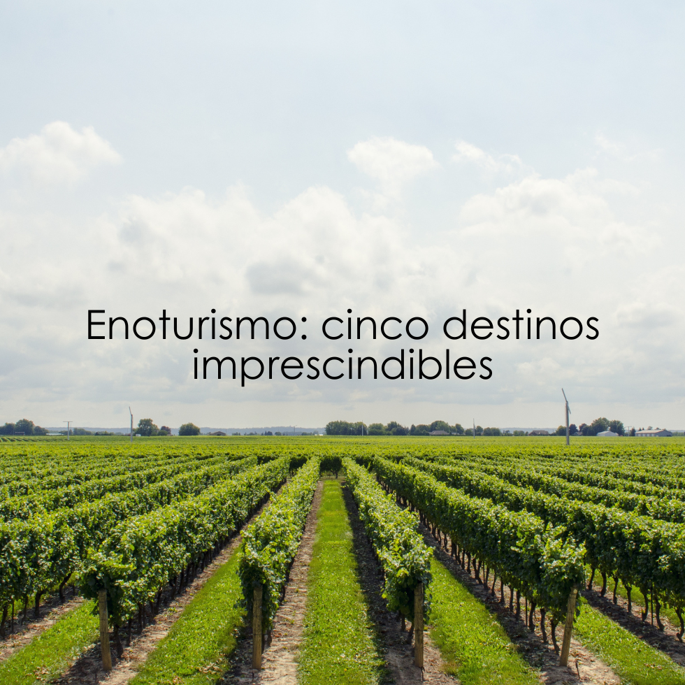 Destinos enoturismo