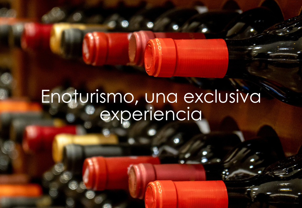 Enoturismo, todo lo que necesitas saber