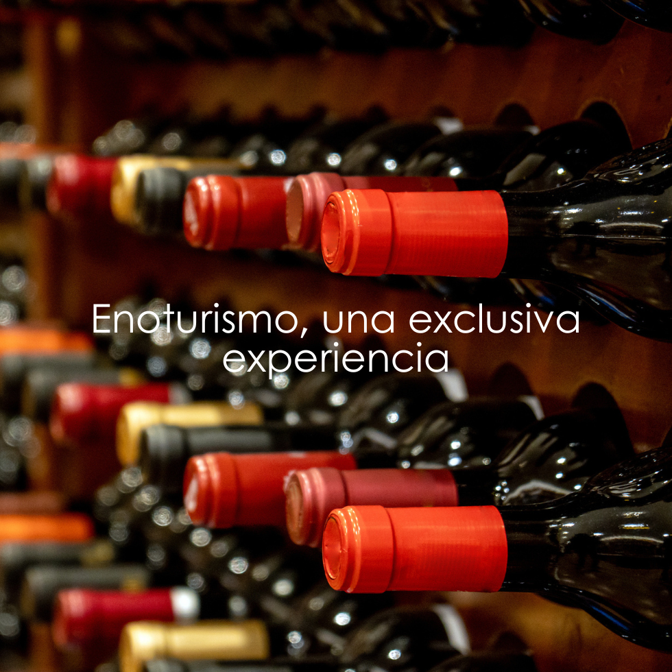 Enoturismo