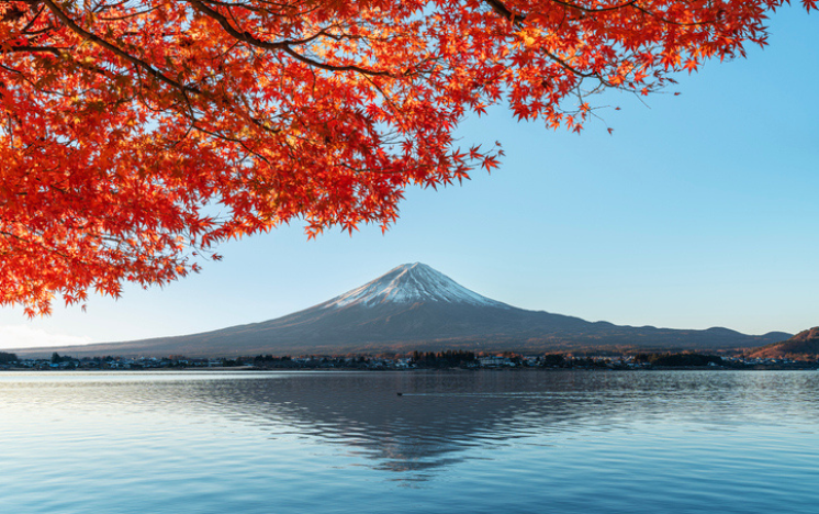 Hojas de arce y Monte Fuji