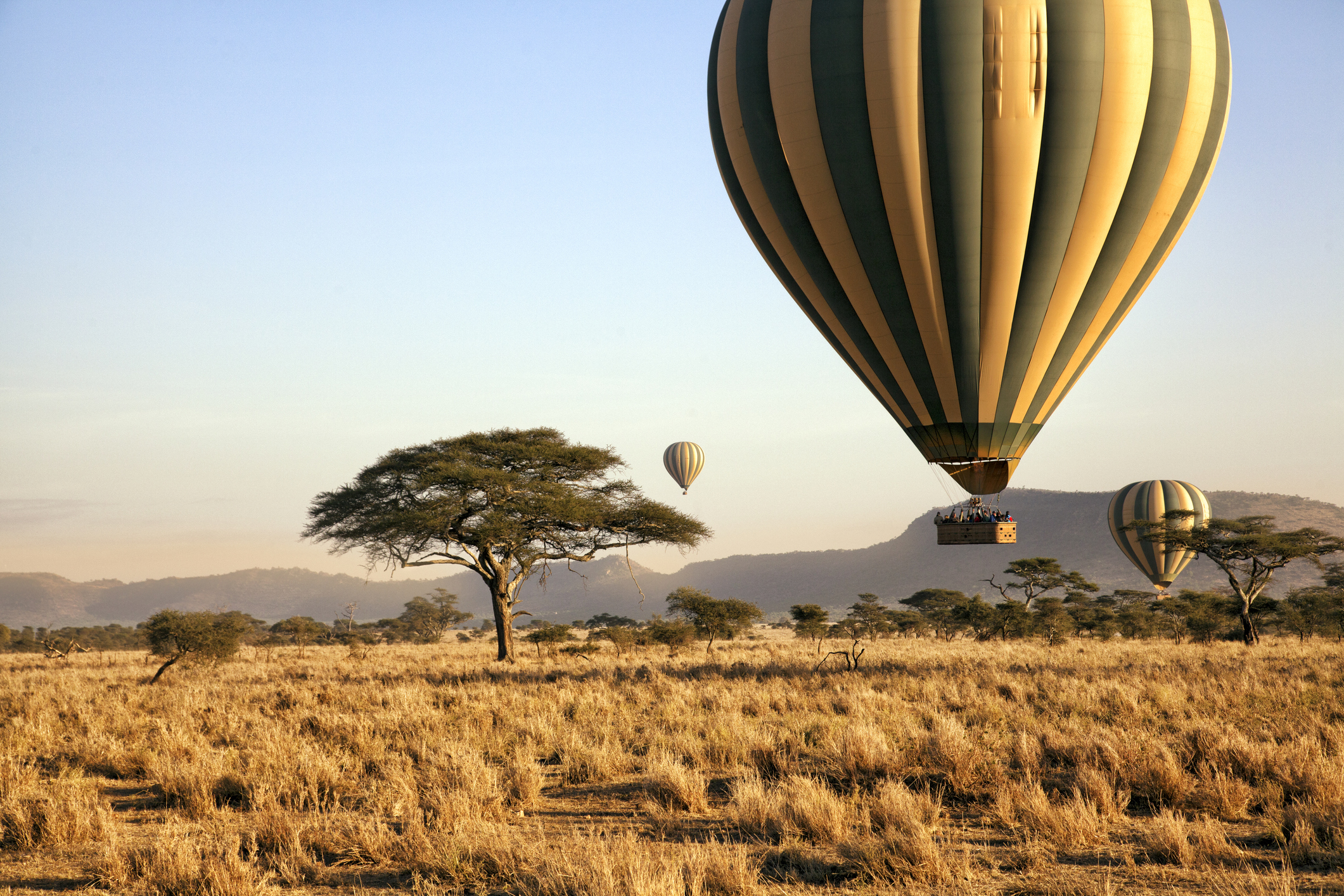 Lunas de miel exóticas: Tanzania