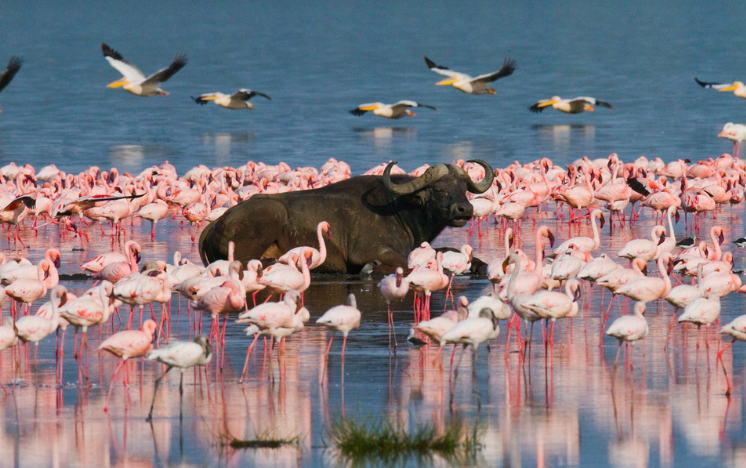 Kenia Viaje a medida