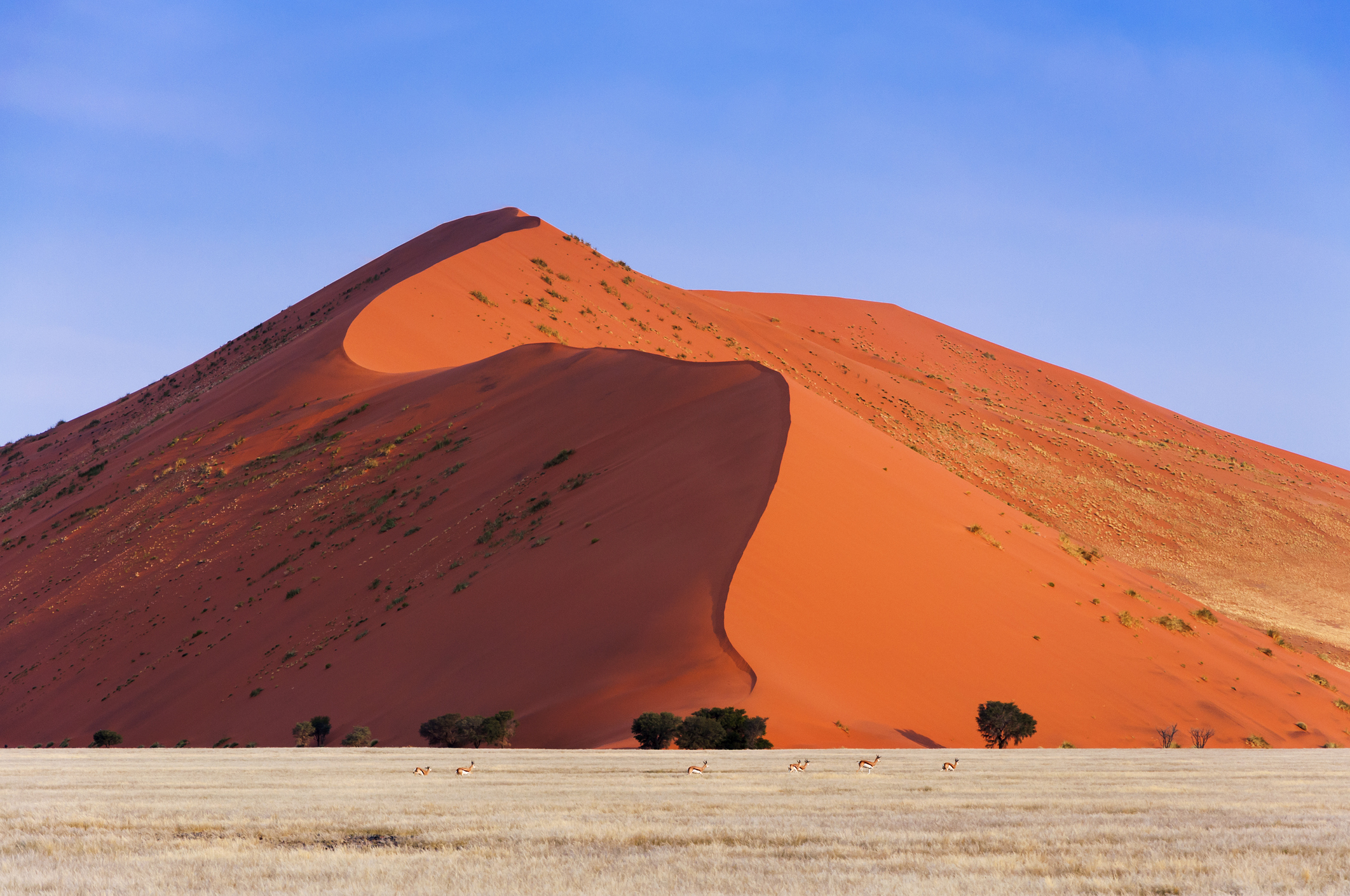 namibia viajes