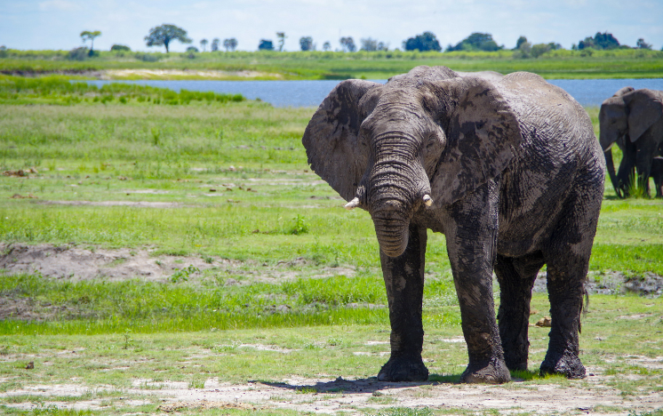Botswana