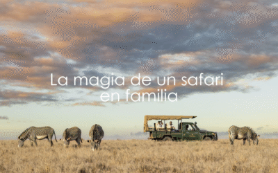 Safari en familia: una aventura inolvidable