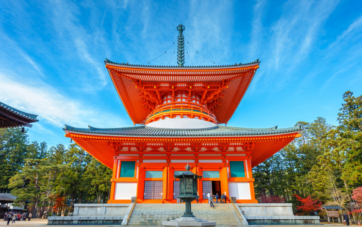 Ciervo sagrado paseando por el Parque de Nara, Japón