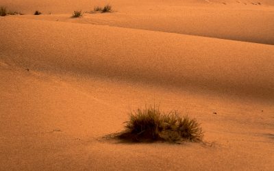 Desiertos del mundo: lujo y silencio absoluto