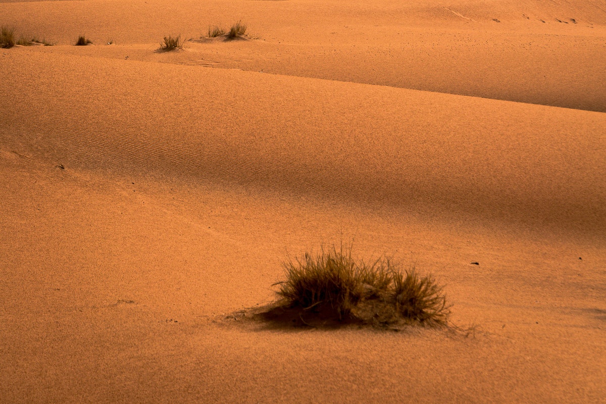 Egipto-desierto-safari-experiencias Egipto-desierto-safari-experiencias